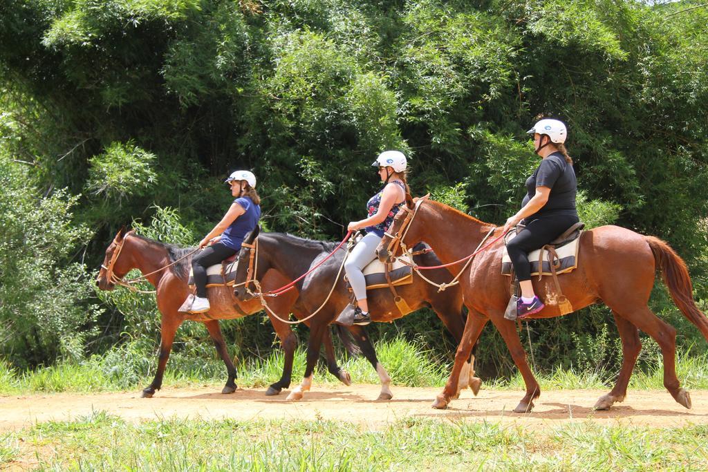 Hotel Fazenda Parque Dos Sonhos Socorro  Zewnętrze zdjęcie