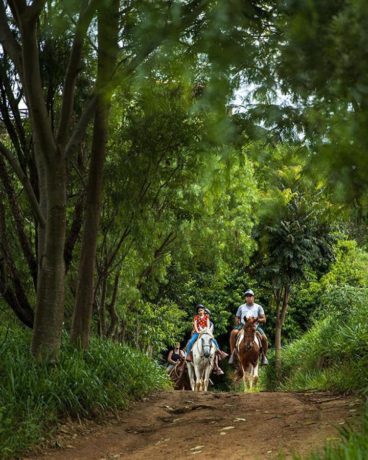 Hotel Fazenda Parque Dos Sonhos Socorro  Zewnętrze zdjęcie
